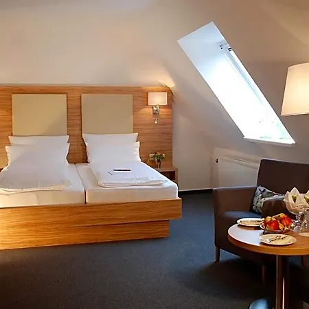 Hotel Alt 3*