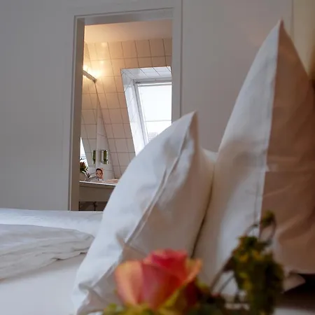 Hotel Alt 3*