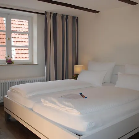 Alt Hotel 3*