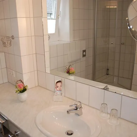 Hotel Alt 3*