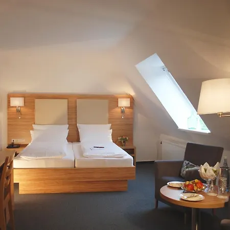 Alt Hotel 3*